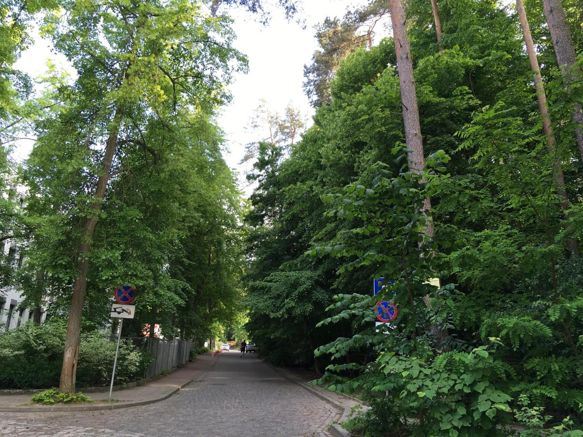 Przytulny Apartament Blisko Lasu Z Szybkim Wi-Fi Sopot Exteriör bild